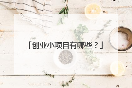 创业小项目有哪些?