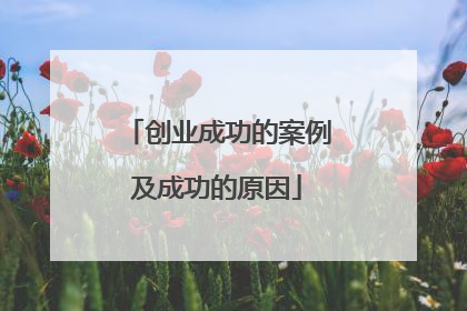创业成功的案例及成功的原因