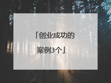 创业成功的案例3个