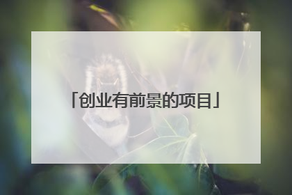 创业有前景的项目