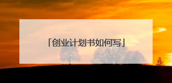 创业计划书如何写