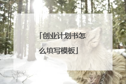 创业计划书怎么填写模板