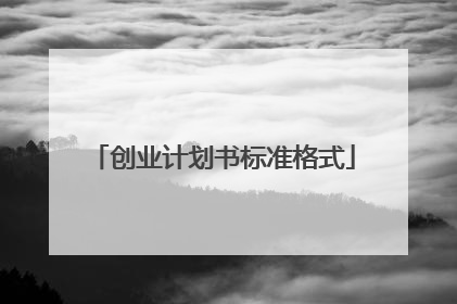 创业计划书标准格式