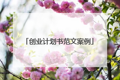 创业计划书范文案例