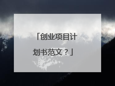 创业项目计划书范文?