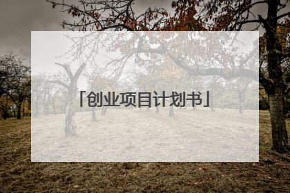 创业项目计划书