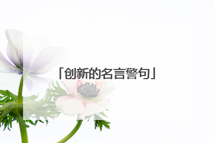 创新的名言警句