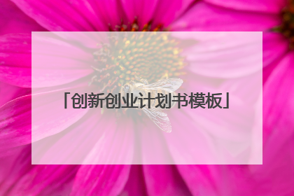 创新创业计划书模板