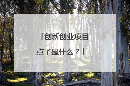 创新创业项目点子是什么?