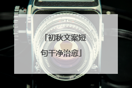 初秋文案短句干净治愈