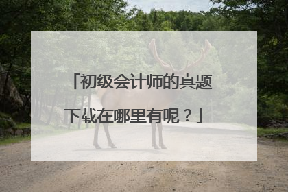 初级会计师的真题下载在哪里有呢?