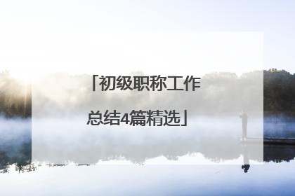 初级职称工作总结4篇精选