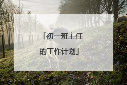 初一班主任的工作计划
