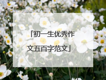 初一生优秀作文五百字范文