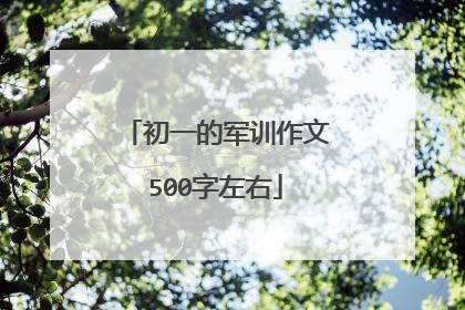 初一的军训作文500字左右