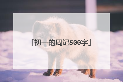 初一的周记500字