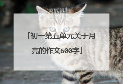 初一第五单元关于月亮的作文600字