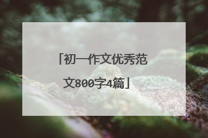 初一作文优秀范文800字4篇