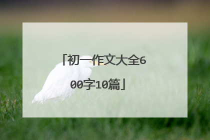 初一作文大全600字10篇