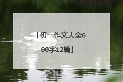 初一作文大全600字12篇