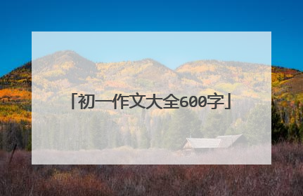 初一作文大全600字
