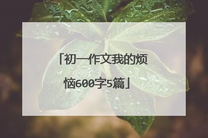初一作文我的烦恼600字5篇
