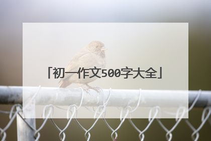 初一作文500字大全