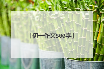 初一作文500字
