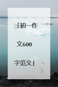 初一作文600字范文