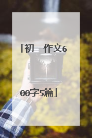初一作文600字5篇