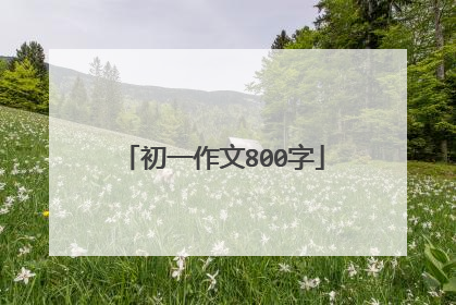 初一作文800字
