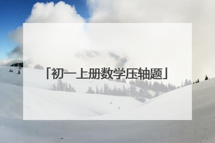 初一上册数学压轴题