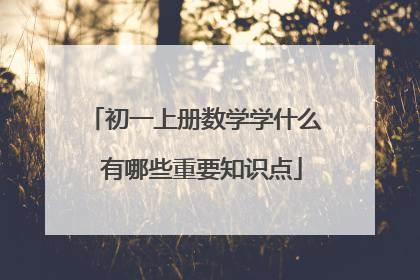 初一上册数学学什么 有哪些重要知识点