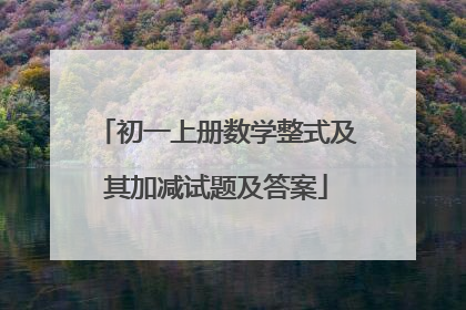 初一上册数学整式及其加减试题及答案
