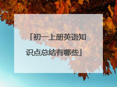 初一上册英语知识点总结有哪些