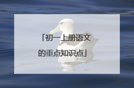 初一上册语文的重点知识点