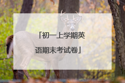 初一上学期英语期末考试卷