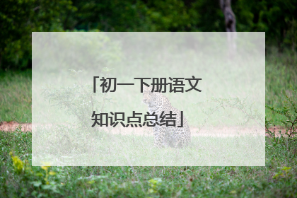 初一下册语文知识点总结