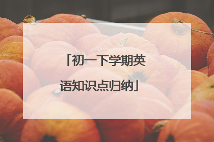 初一下学期英语知识点归纳