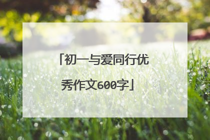 初一与爱同行优秀作文600字