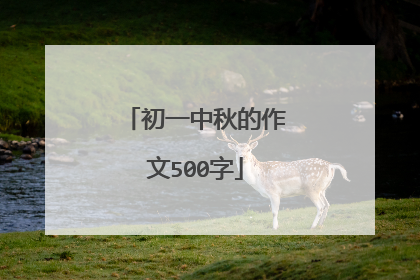 初一中秋的作文500字