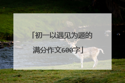 初一以遇见为题的满分作文600字