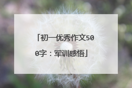 初一优秀作文500字:军训感悟