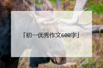 初一优秀作文600字