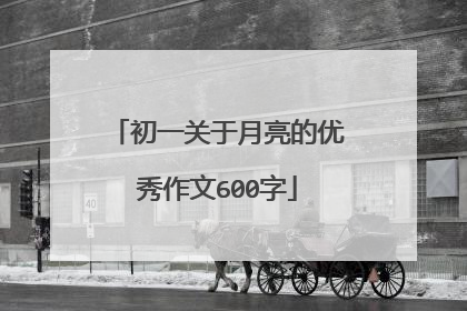 初一关于月亮的优秀作文600字