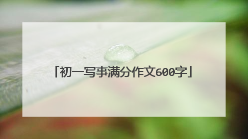 初一写事满分作文600字
