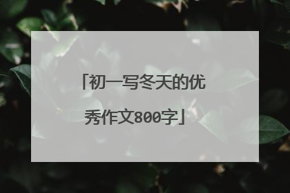 初一写冬天的优秀作文800字
