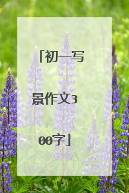 初一写景作文300字