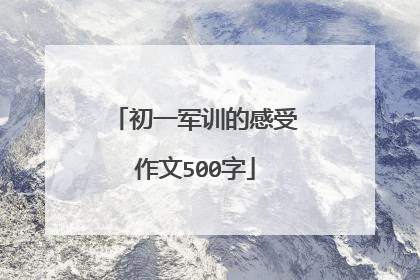初一军训的感受作文500字