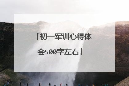 初一军训心得体会500字左右